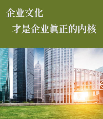 重庆拓扬商务信息咨询有限公司市场调研服务流程与执行标准解析
